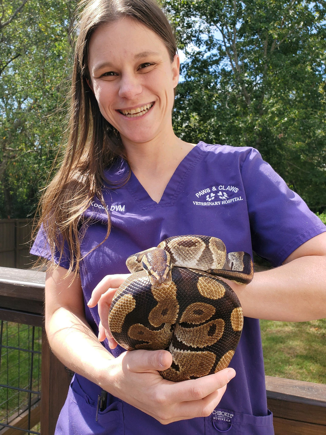 Exotic Reptile Vet Tallahassee Paws & Claws Veterinary Hospital